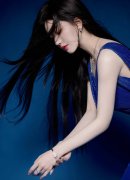 曾经对法国、、意