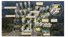 <strong>将来业女到丰硕的</strong>